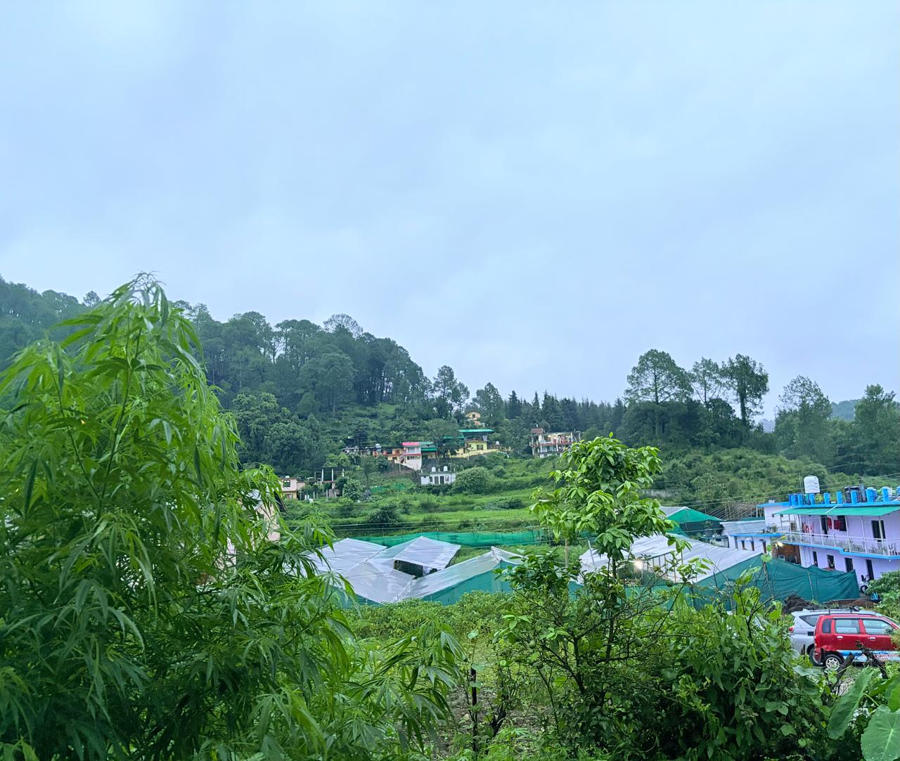 Surrounding hills